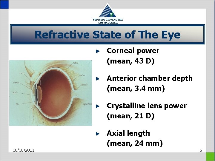 YEDİTEPE ÜNİVERSİTESİ GÖZ HASTANESİ Refractive State of The Eye Corneal power (mean, 43 D)