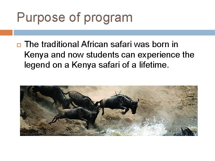 Purpose of program The traditional African safari was born in Kenya and now students