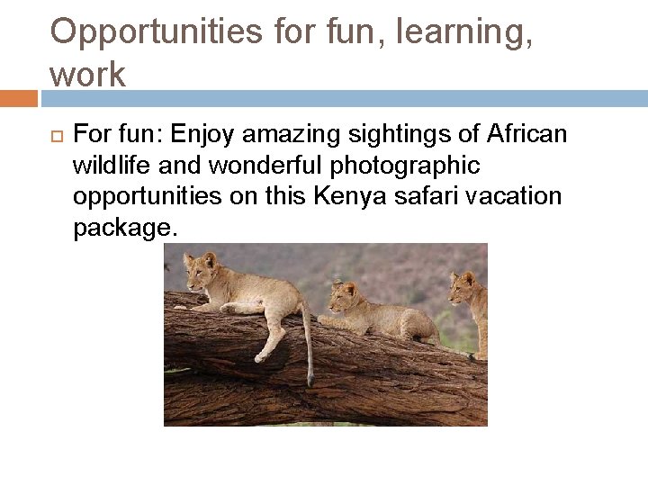 Opportunities for fun, learning, work For fun: Enjoy amazing sightings of African wildlife and