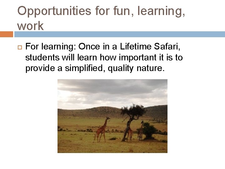 Opportunities for fun, learning, work For learning: Once in a Lifetime Safari, students will