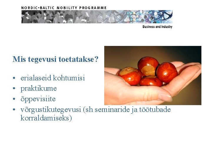 Mis tegevusi toetatakse? • • erialaseid kohtumisi praktikume õppevisiite võrgustikutegevusi (sh seminaride ja töötubade