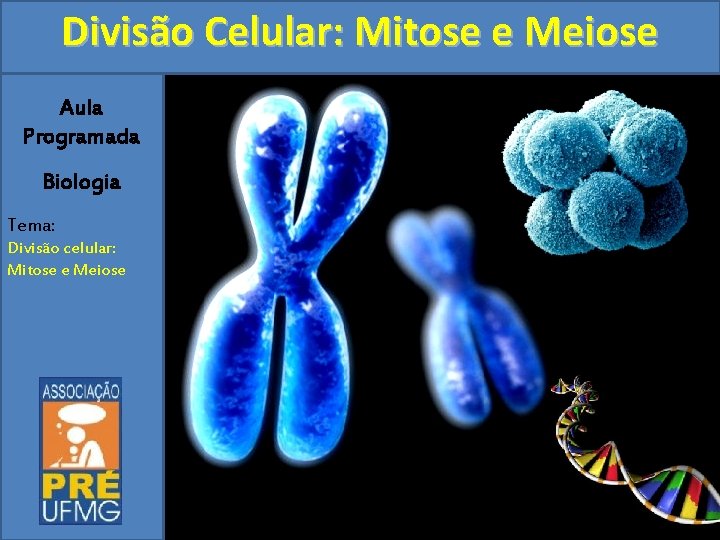 Divisão Celular: Mitose e Meiose Aula Programada Biologia Tema: Divisão celular: Mitose e Meiose