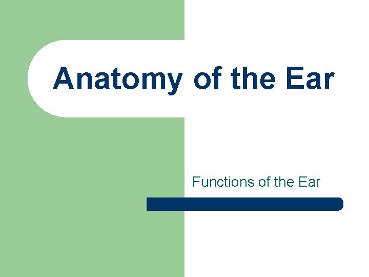 Anatomy of the Ear Functions of the Ear 