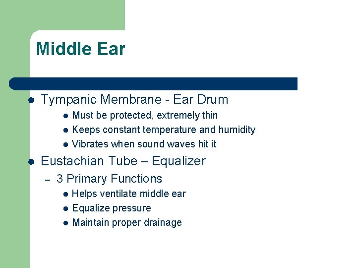 Middle Ear l Tympanic Membrane - Ear Drum l l Must be protected, extremely