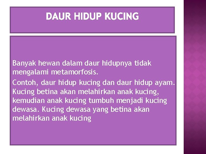 Banyak hewan dalam daur hidupnya tidak mengalami metamorfosis. Contoh, daur hidup kucing dan daur