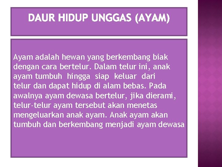 Ayam adalah hewan yang berkembang biak dengan cara bertelur. Dalam telur ini, anak ayam