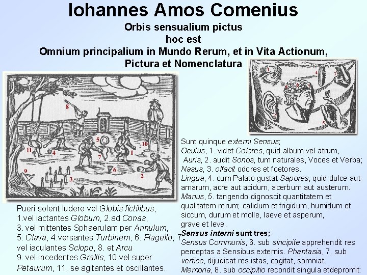Iohannes Amos Comenius Orbis sensualium pictus hoc est Omnium principalium in Mundo Rerum, et