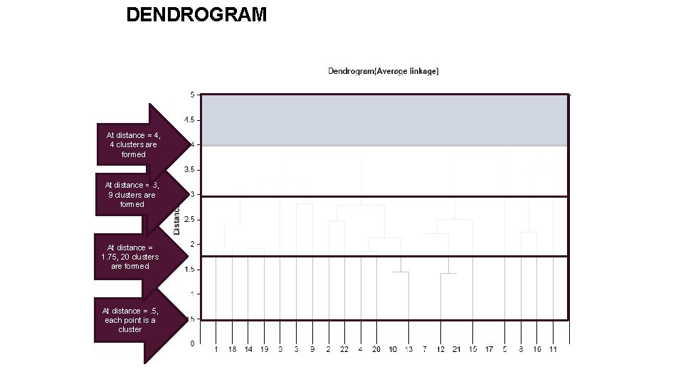 A DENDROGRAM SHOWS THE CLUSTER HIERARCHY At distance = 4, 4 clusters are formed