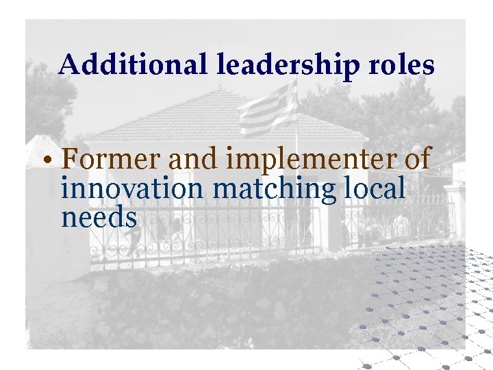 Additional leadership roles • Former and implementer of innovation matching local needs 