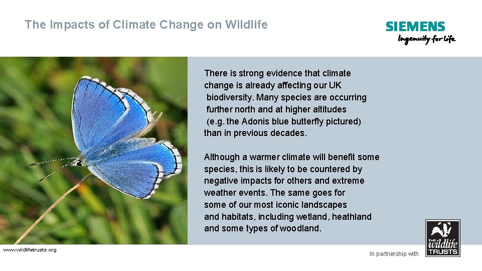 The Impacts of Climate Change on Wildlife There is strong evidence that climate change