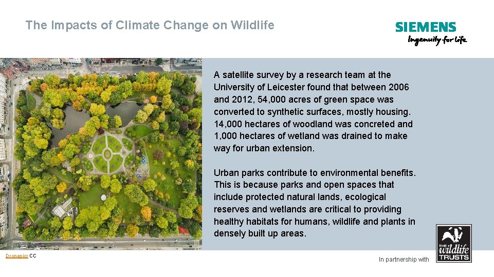 The Impacts of Climate Change on Wildlife A satellite survey by a research team