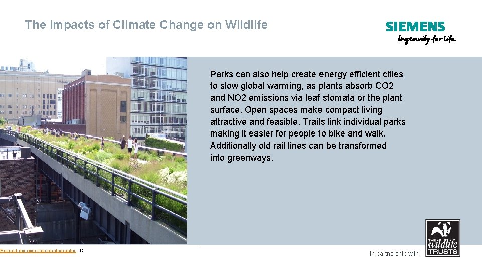 The Impacts of Climate Change on Wildlife Parks can also help create energy efficient