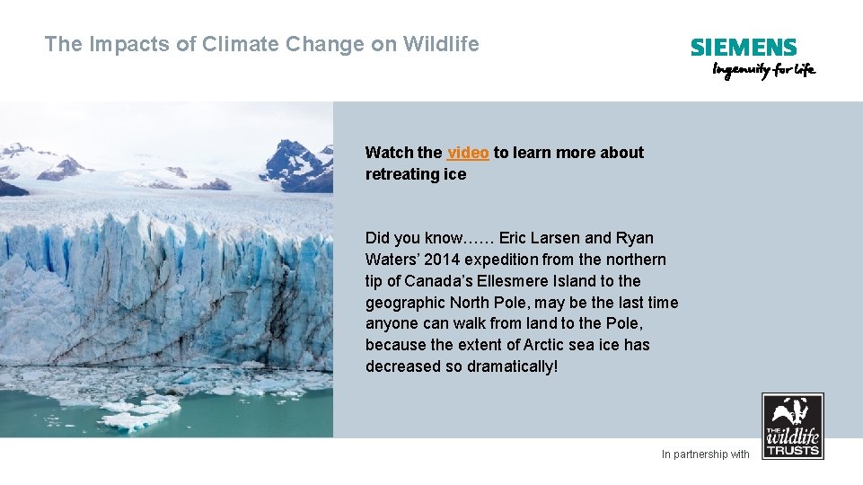 The Impacts of Climate Change on Wildlife Watch the video to learn more about