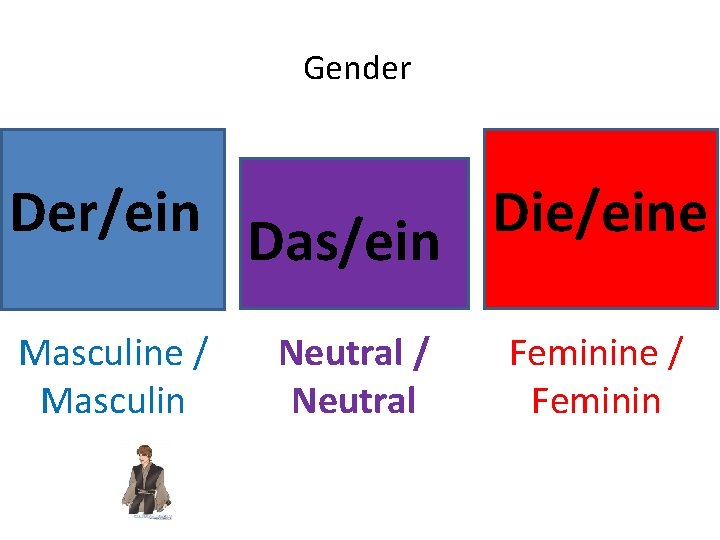 Gender Der/ein Das/ein Die/eine Masculine / Masculin Neutral / Neutral Feminine / Feminin 