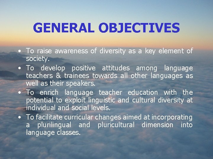 GENERAL OBJECTIVES • To raise awareness of diversity as a key element of society.