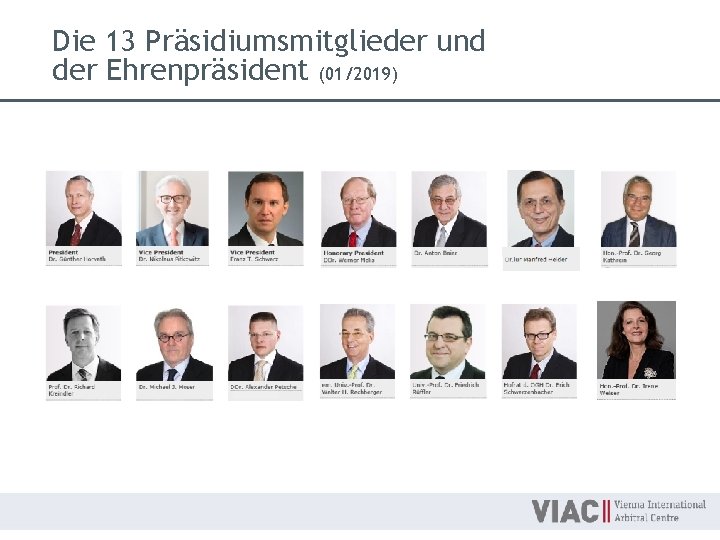 Die 13 Präsidiumsmitglieder und der Ehrenpräsident (01/2019) 