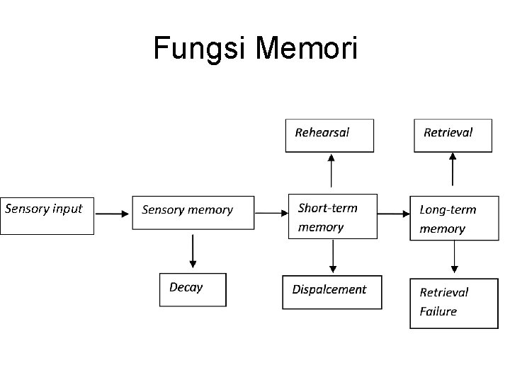 Fungsi Memori Sensory input 