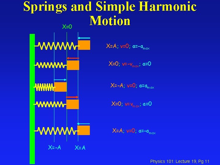 Springs and Simple Harmonic Motion X=0 X=A; v=0; a=-amax X=0; v=-vmax; a=0 X=-A; v=0;