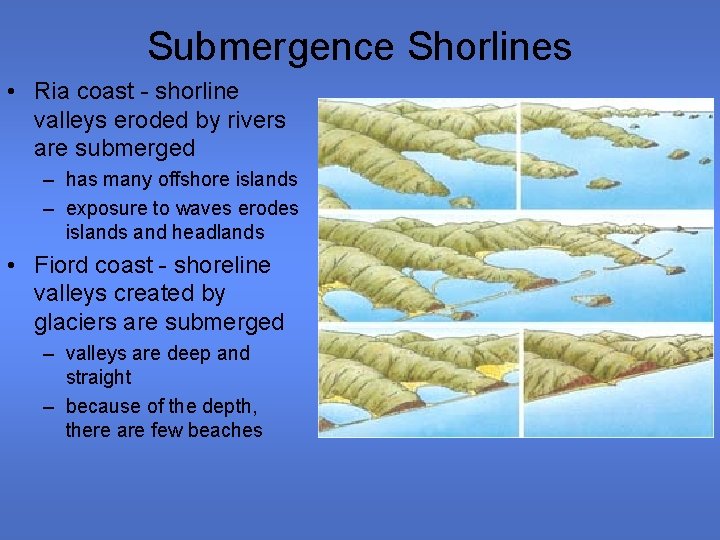 Submergence Shorlines • Ria coast - shorline valleys eroded by rivers are submerged –