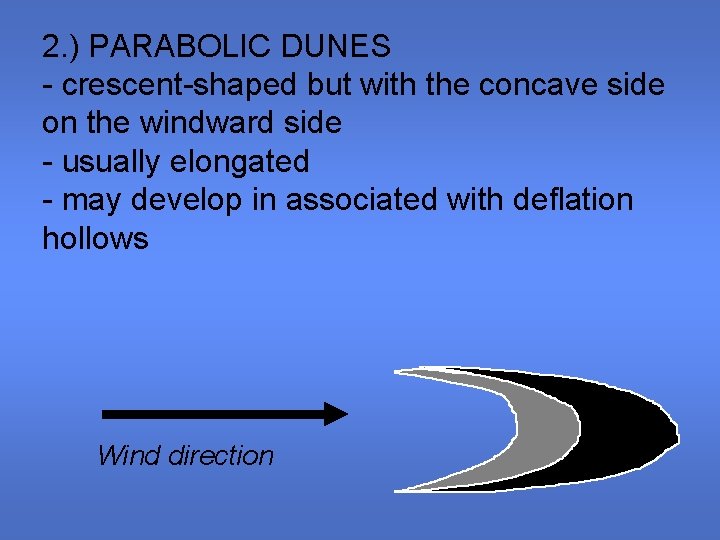 2. ) PARABOLIC DUNES - crescent-shaped but with the concave side on the windward