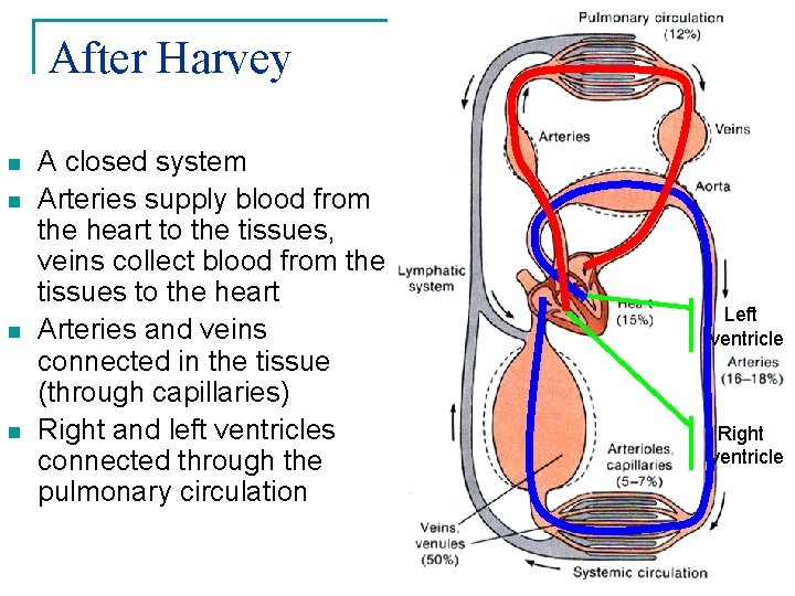 After Harvey n n A closed system Arteries supply blood from the heart to