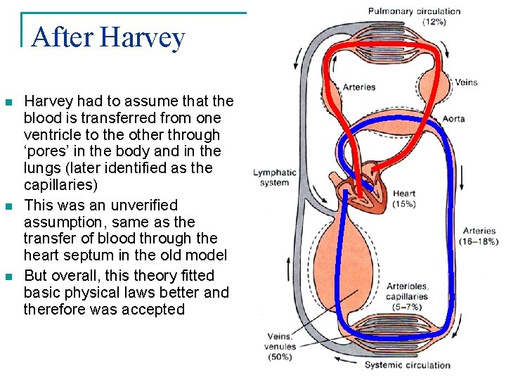 After Harvey n n n Harvey had to assume that the blood is transferred