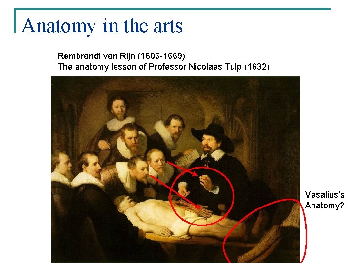 Anatomy in the arts Rembrandt van Rijn (1606 -1669) The anatomy lesson of Professor