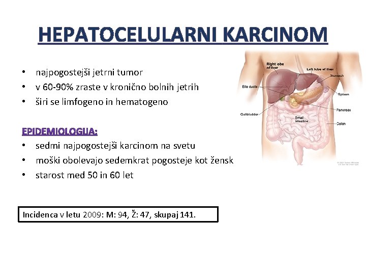HEPATOCELULARNI KARCINOM • najpogostejši jetrni tumor • v 60 -90% zraste v kronično bolnih HEPATOCELULARNI KARCINOM • najpogostejši jetrni tumor • v 60 -90% zraste v kronično bolnih