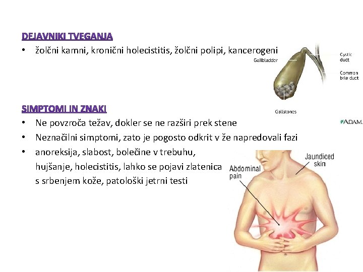 • žolčni kamni, kronični holecistitis, žolčni polipi, kancerogeni • Ne povzroča težav, dokler • žolčni kamni, kronični holecistitis, žolčni polipi, kancerogeni • Ne povzroča težav, dokler