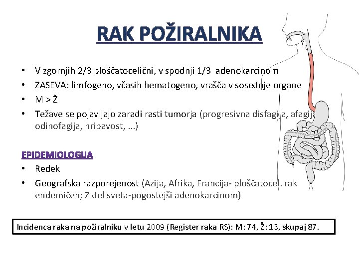 RAK POŽIRALNIKA • • V zgornjih 2/3 ploščatocelični, v spodnji 1/3 adenokarcinom ZASEVA: limfogeno, RAK POŽIRALNIKA • • V zgornjih 2/3 ploščatocelični, v spodnji 1/3 adenokarcinom ZASEVA: limfogeno,