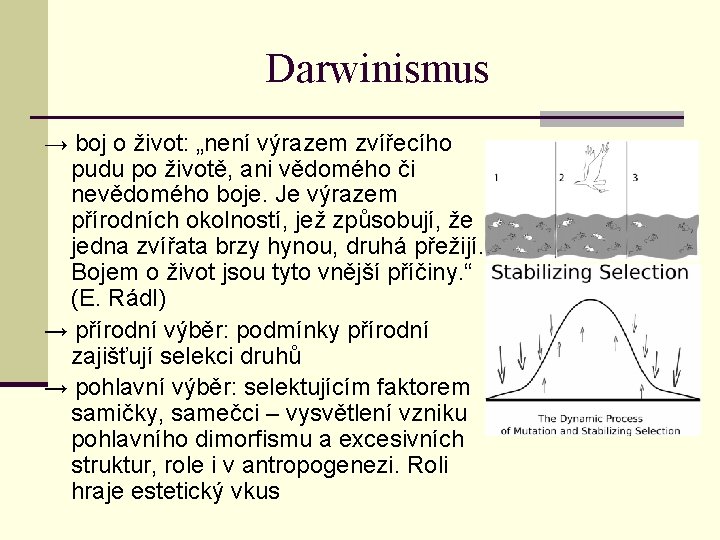 Darwinismus → boj o život: „není výrazem zvířecího pudu po životě, ani vědomého či