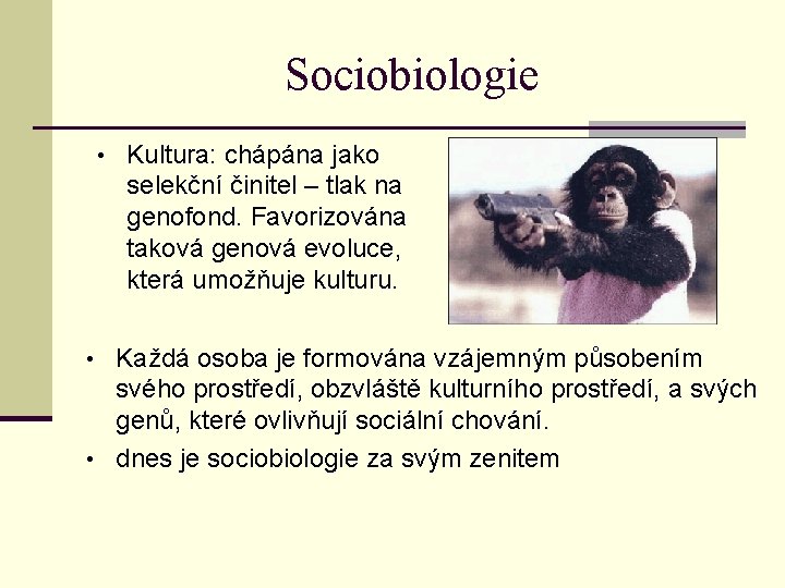 Sociobiologie • Kultura: chápána jako selekční činitel – tlak na genofond. Favorizována taková genová