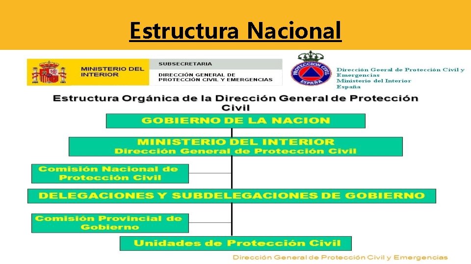 Estructura Nacional 