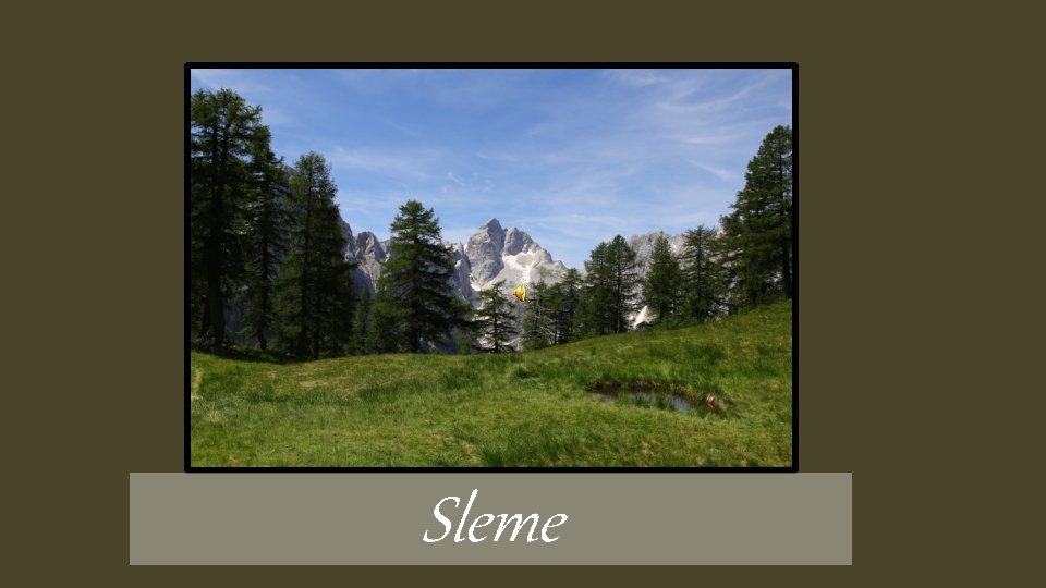 Sleme 