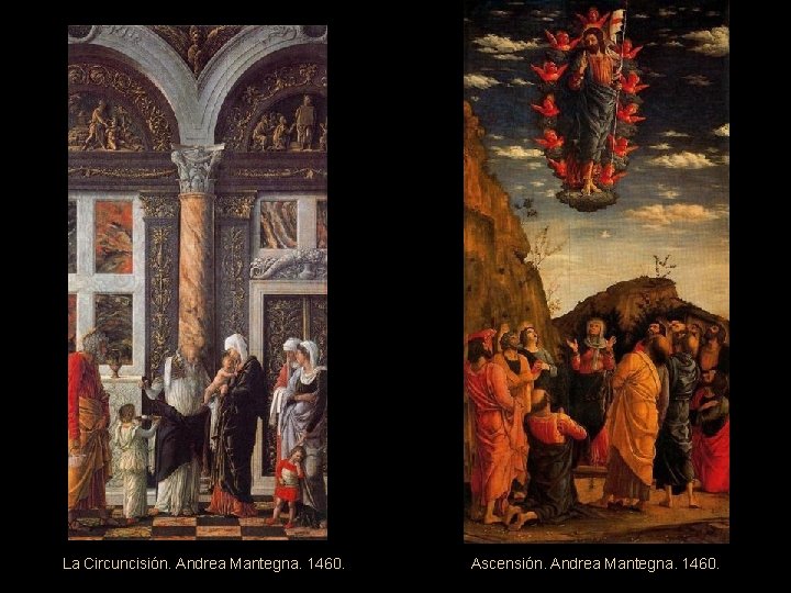 La Circuncisión. Andrea Mantegna. 1460. Ascensión. Andrea Mantegna. 1460. 