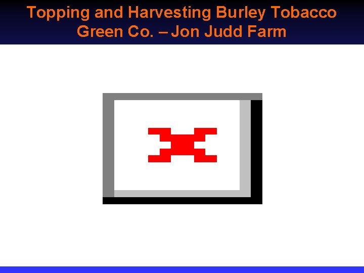 Topping and Harvesting Burley Tobacco Green Co. – Jon Judd Farm 