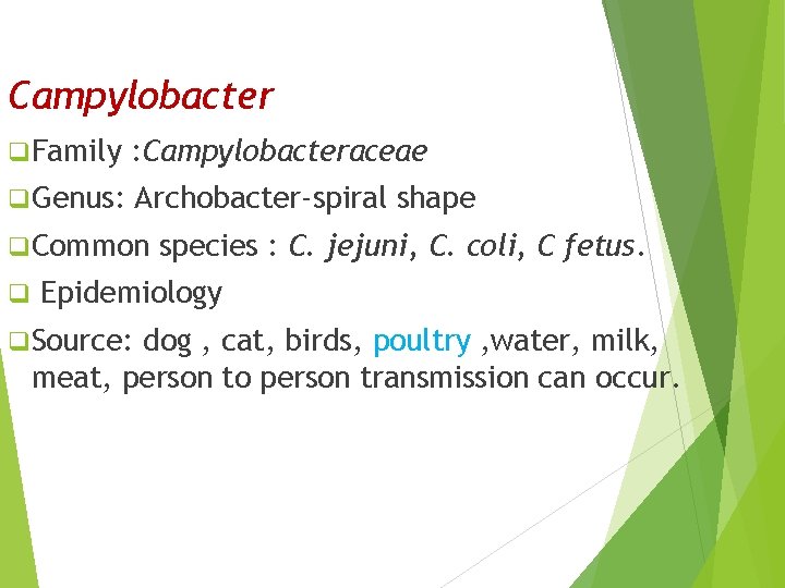 Campylobacter q Family : Campylobacteraceae q Genus: Archobacter-spiral shape q Common q species :