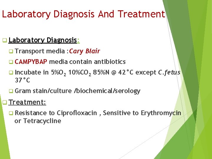 Laboratory Diagnosis And Treatment q Laboratory q Transport Diagnosis: media : Cary Blair q
