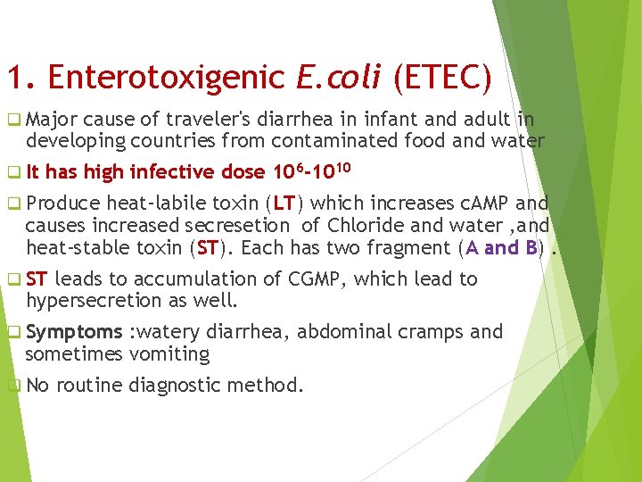 1. Enterotoxigenic E. coli (ETEC) q Major cause of traveler's diarrhea in infant and