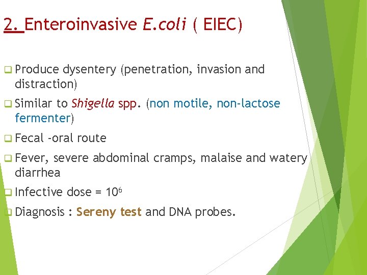 2. Enteroinvasive E. coli ( EIEC) q Produce dysentery (penetration, invasion and distraction) q