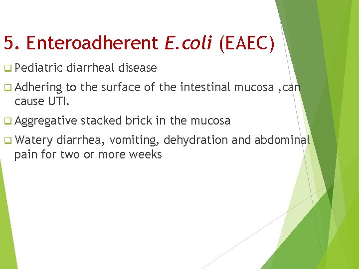 5. Enteroadherent E. coli (EAEC) q Pediatric diarrheal disease q Adhering to the surface