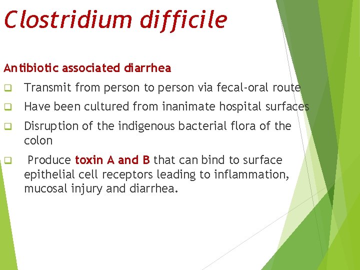 Clostridium difficile Antibiotic associated diarrhea q Transmit from person to person via fecal-oral route