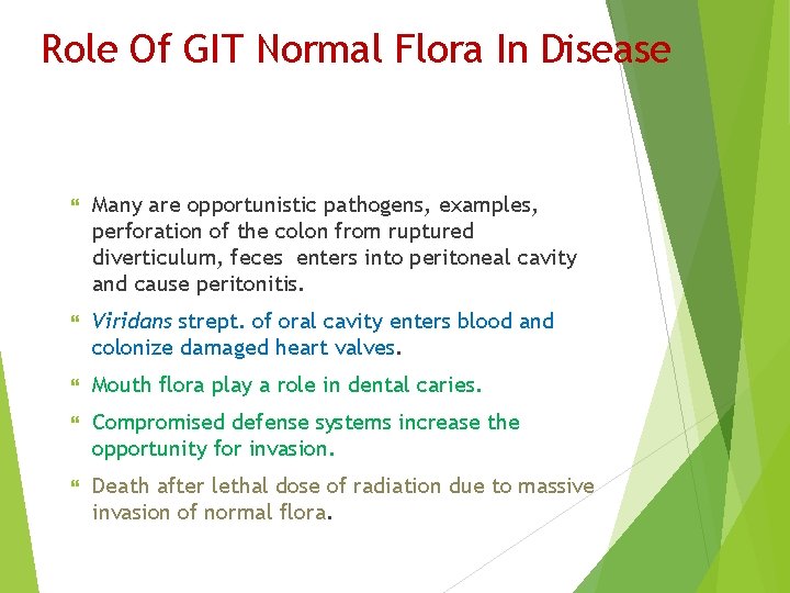 Role Of GIT Normal Flora In Disease Many are opportunistic pathogens, examples, perforation of