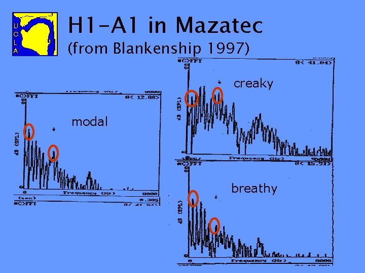 H 1 -A 1 in Mazatec (from Blankenship 1997) creaky modal breathy 