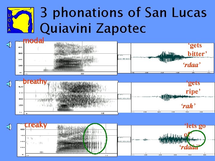 3 phonations of San Lucas Quiavini Zapotec modal ‘gets bitter’ ‘rdaa’ breathy ‘gets ripe’