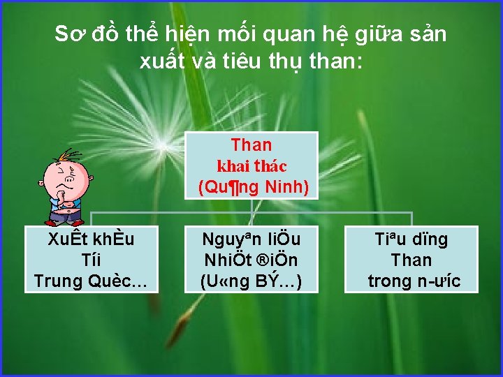 Sơ đồ thể hiện mối quan hệ giữa sản xuất và tiêu thụ than: