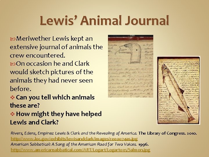 Lewis’ Animal Journal Meriwether Lewis kept an extensive journal of animals the crew encountered.