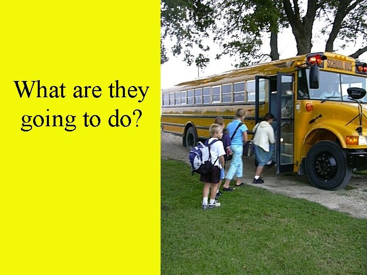 What are they going to do? 