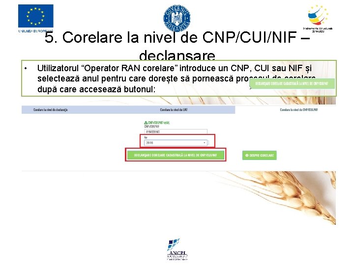  • 5. Corelare la nivel de CNP/CUI/NIF – declanșare Utilizatorul “Operator RAN corelare”