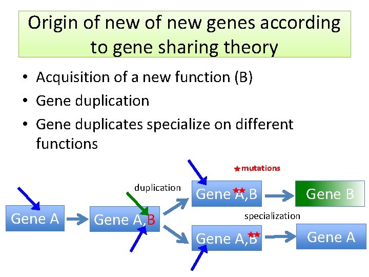 Origin of new genes according to gene sharing theory • Acquisition of a new